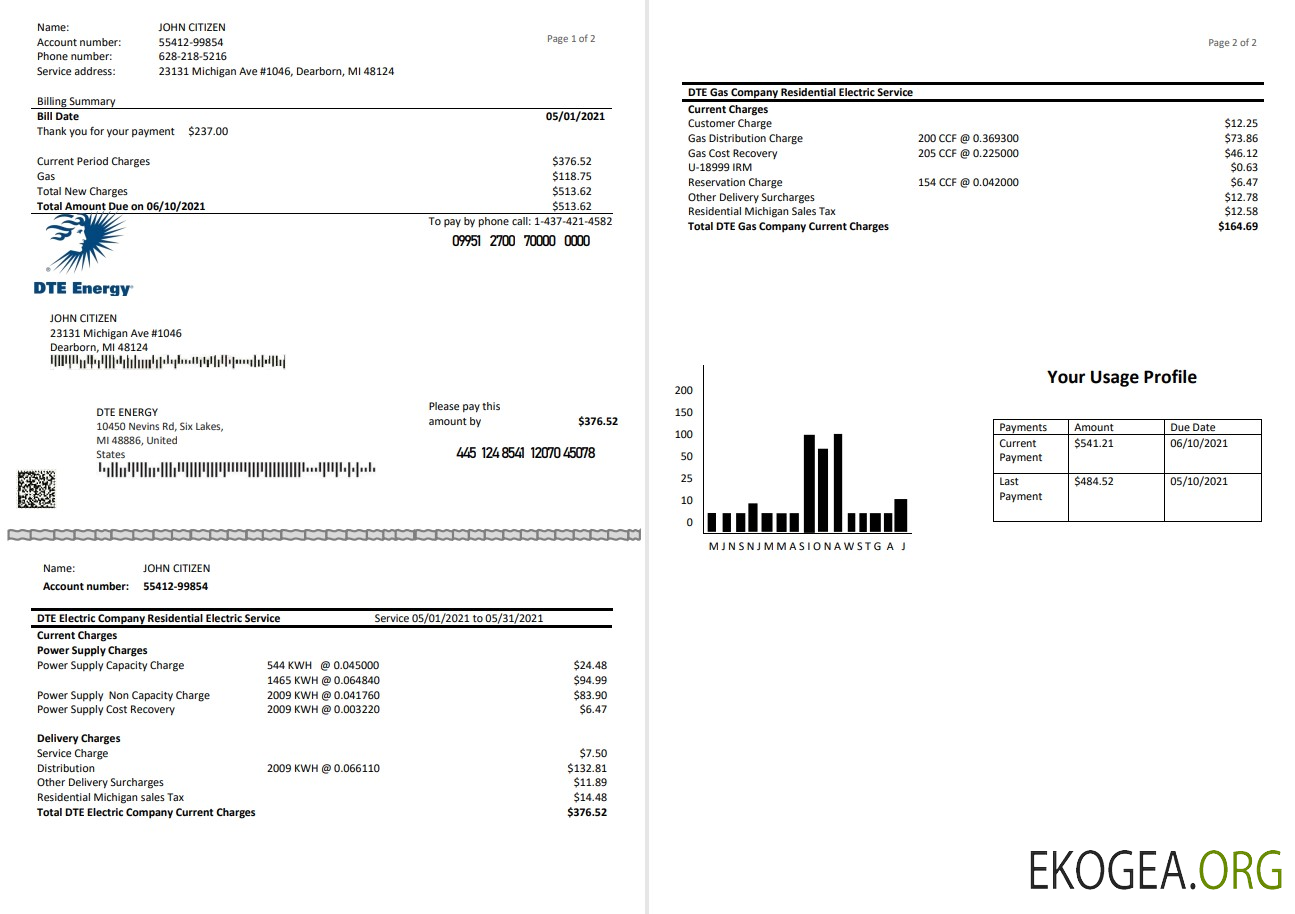 USA DTE Energy utility bill template in Word and PDF format (2 pages)